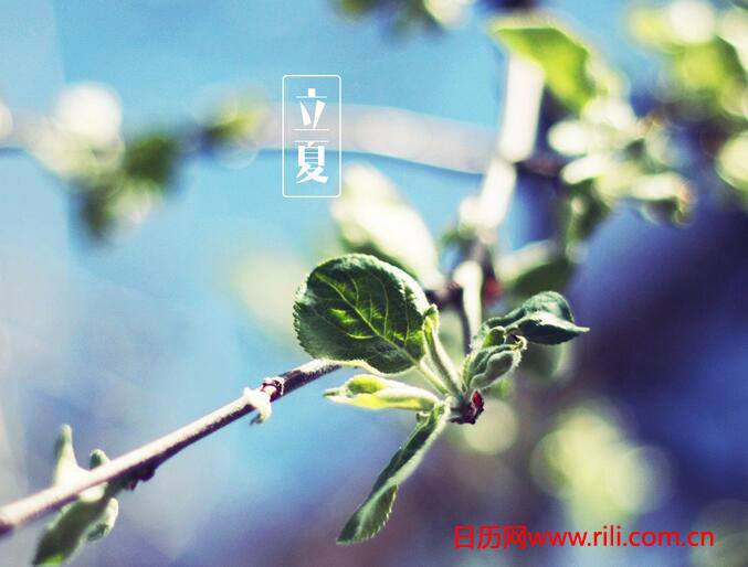 立夏的谚语