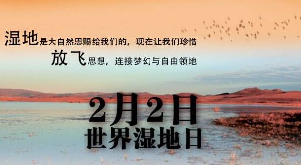 世界湿地日 世界湿地日