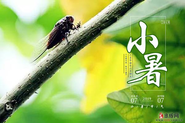 2020年小暑是几月几日:7月6日