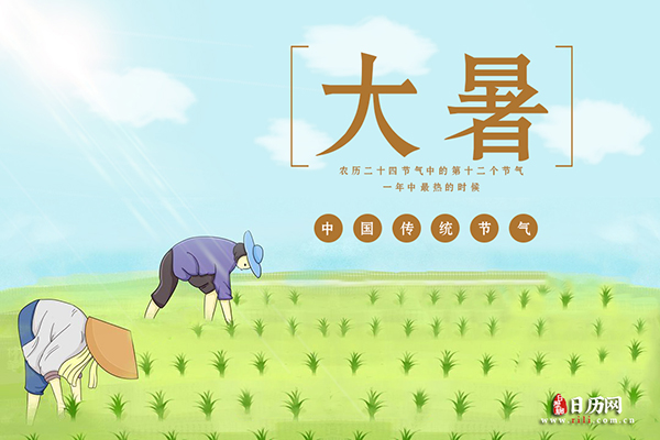 二十四节气之大暑的农业活动