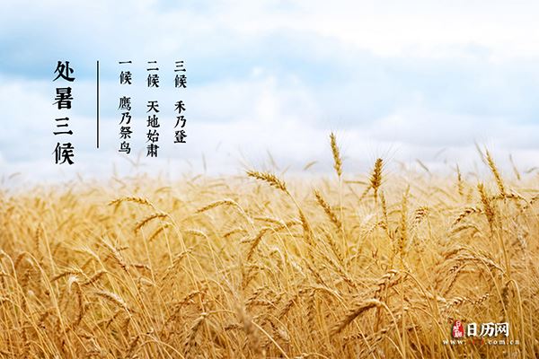 夏将止,秋未满|处暑三候