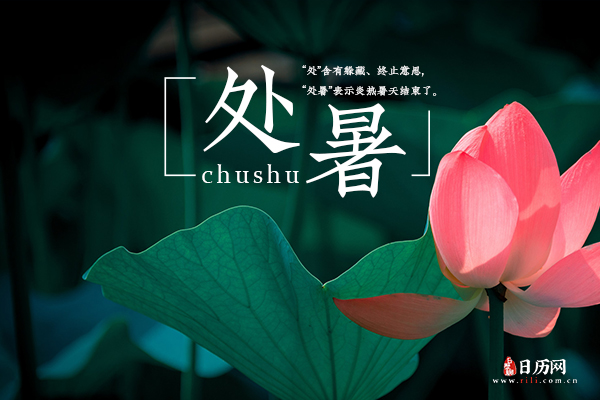 处暑的关键就是"处",夏天到此结束!