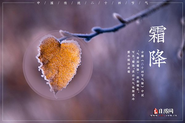 霜降的由来,霜降的来历和传说