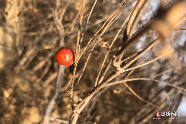 春节正月十四的讲究 春节正月十四的讲究