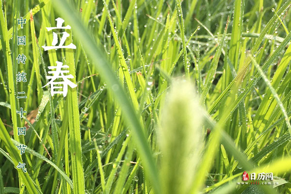 立春吃什么好 立春吃什么好