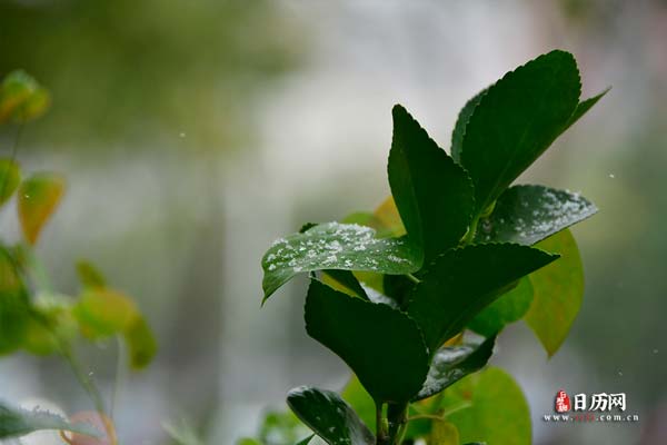 雨水节气的温度是多少 雨水节气的温度是多少