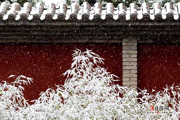 冬天积雪宫墙建筑雪景植物下雪2.jpg