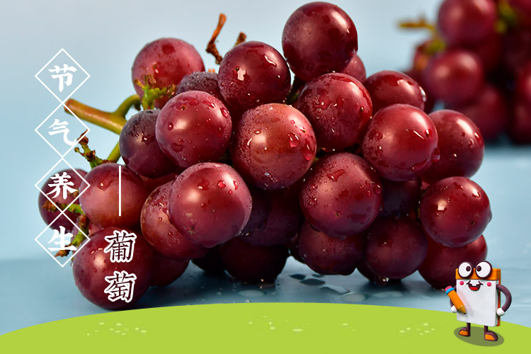 处暑吃葡萄