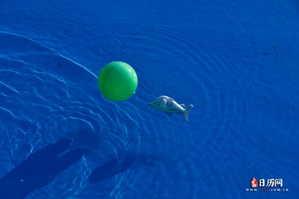 儿童水上乐园玩具海洋球浮在水面上