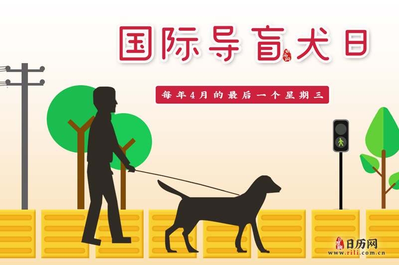 4.28国际导盲犬日