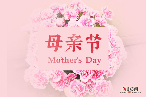 康乃馨被视为献给母亲的花,而中国的母亲花是萱草花,又叫忘忧草