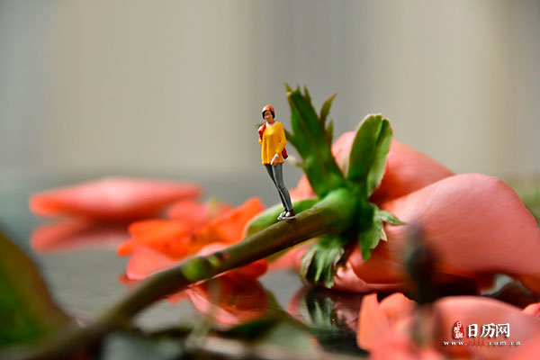 情人节微缩摄影之女孩站在玫瑰花枝上