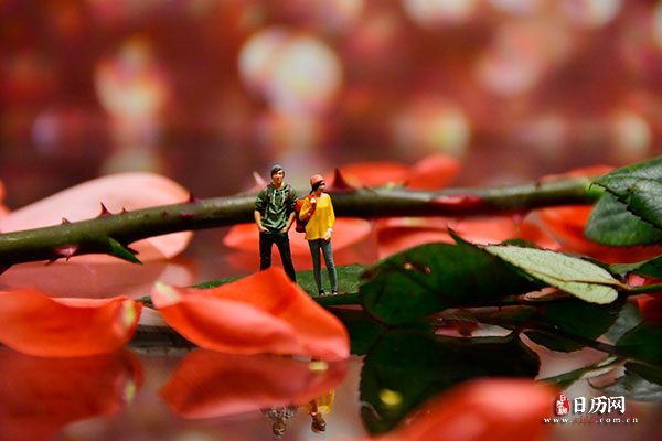 情人节微缩摄影之情侣站在玫瑰花瓣中