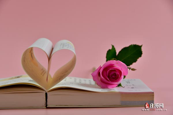 玫瑰花书粉色一束花