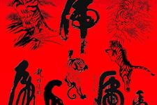 属虎的今年多大 2015年属虎的人今年多大?