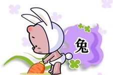 关于十二生肖兔的歇后语大全及答案