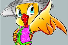 男属鸡的属相婚配表