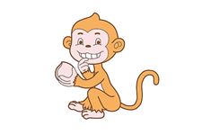 女属猴的和什么属相最配
