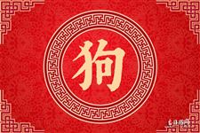 属狗的今年多大,属狗性格婚姻命运全解