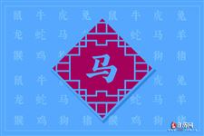 属马的今年多大,属马性格婚姻命运全解