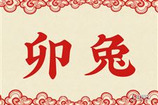 属兔的今年多大,属兔性格婚姻命运全解
