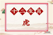 属虎的今年多大,属虎性格婚姻命运全解