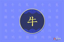 属牛的今年多大,属牛性格婚姻命运全解