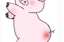 属猪男的属相婚配表