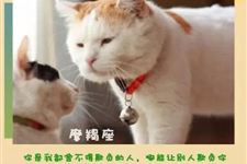 十二星座永远不会说的心里话!