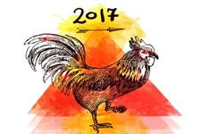周易本命年,民间传统的本命年有什么讲究