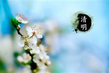 清明节气诗句大全 清明节古诗有哪些