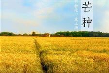芒种艾灸的保健 芒种艾灸的保健作用