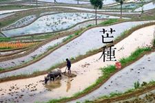芒种水果 芒种吃什么水果生津止渴祛暑除烦