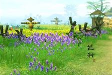 芒种传说 关于芒种都有哪些传说故事