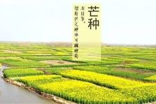 2017年芒种时节生的孩子好吗