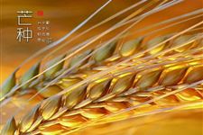 芒种节气习俗 芒种节气在民间都有哪些习俗
