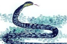 2017ÄêÉúФÉßÊÂÒµÔËÊÆ¡¢²ÆÔË¡¢½¡¿µÔËÊÆÈçºÎ