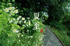 夏至吃狗肉的故事