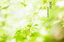夏至节气的特点是什么