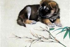 2018年狗年属狗的全年运势 2018年属狗的全年运势