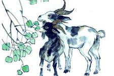 不同年份的羊在2018年运势有哪些变化