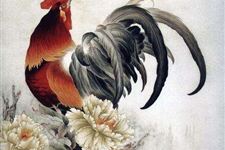 不同年份的鸡2018年运势如何