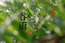 2018年谷雨时间 2018年谷雨是什么时候哪天