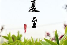 关于夏至的谚语有哪些 哪些谚语是关于夏至的