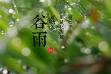 2018年谷雨是几月几日几点几分