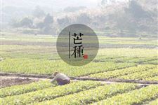 2018年芒种是几月几日几点几分