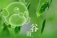 谷雨的风俗习惯大全