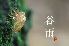 清明之后的节气是什么