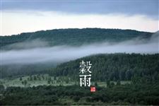 谷雨节气 谷雨详解