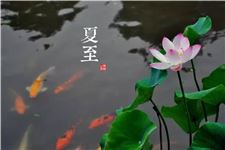 夏至节气 夏至详解